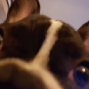 Meet your Posher, Timothy